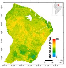 Biomasse de la Guyane